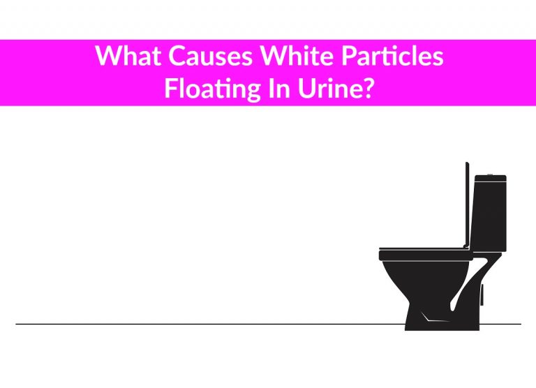 particles in urine