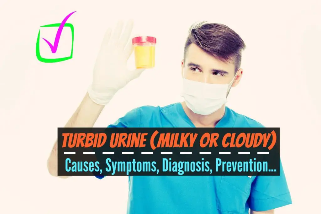 turbid-urine-milky-or-cloudy-causes-symptoms-diagnosis