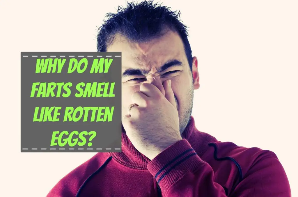 what-do-rotten-eggs-smell-like-at-christopher-mcconkey-blog