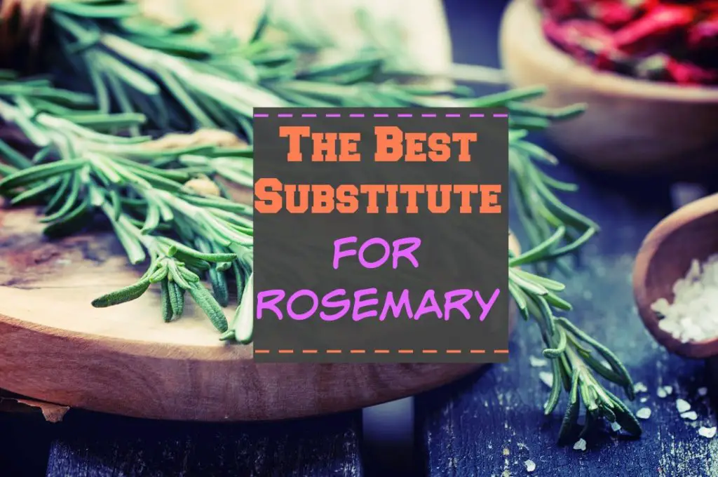 The Best Substitute For Rosemary The Healthy Apron   The Best Substitute For Rosemary 1024x680 