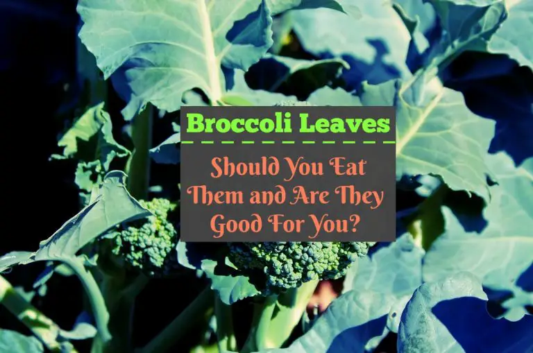 Broccoli Leaves Should You Eat Them and Are They Good For You? The