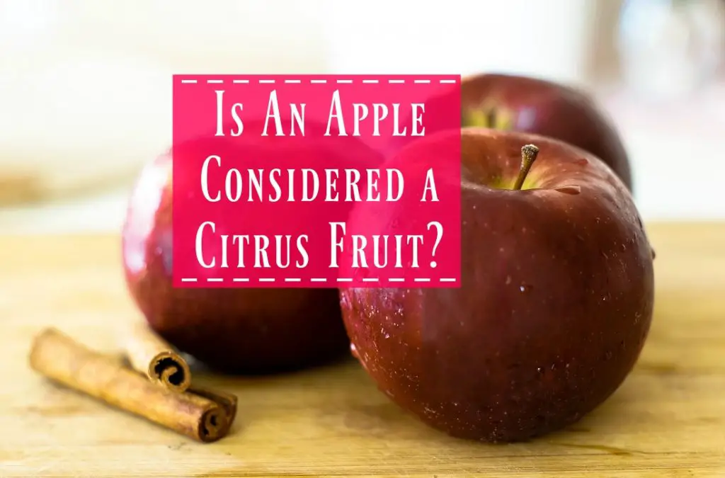 Is Apple Considered a Citrus Fruit? - The Healthy Apron