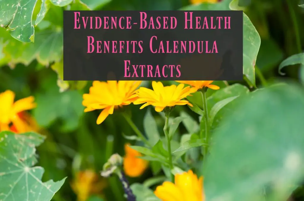 Evidence-Based Health Benefits of Calendula Extracts - The Healthy Apron